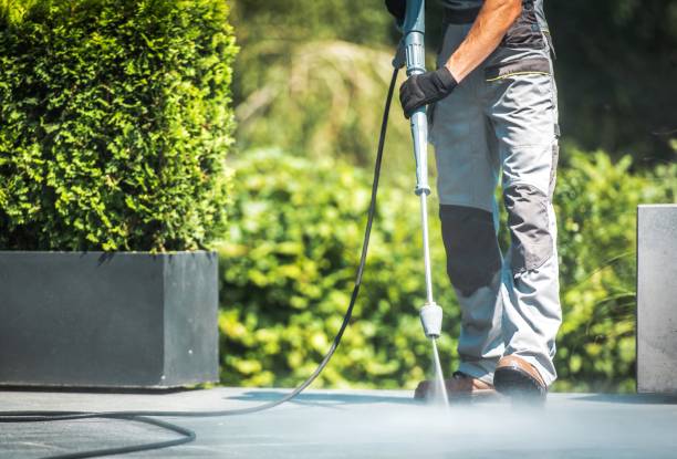 Best House Exterior Washing  in Ben Lomond, CA